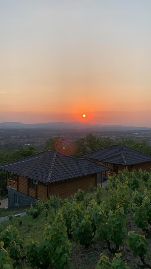 Boja Zalaska - Kameni Apartman Jagodina Exterior foto